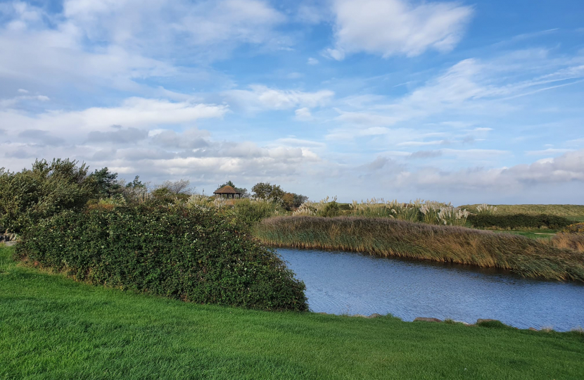 Lake area at Ffrith