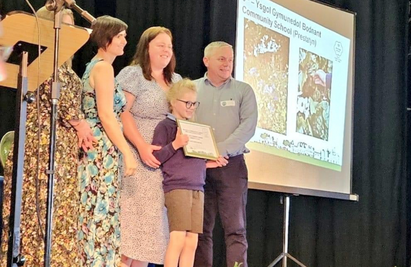 Prestatyn and Denbigh strike gold in Wales in Bloom contest