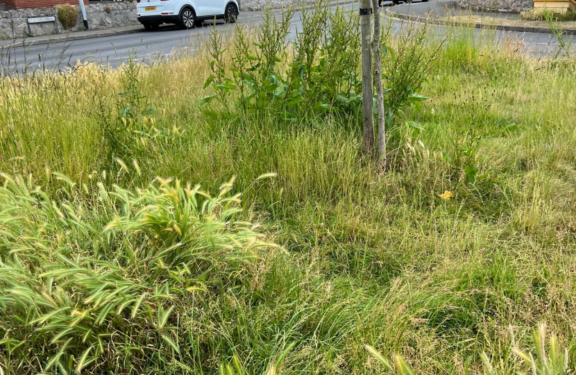 Rhuddlan residents up in arms after council stop cutting grass after 55 years  