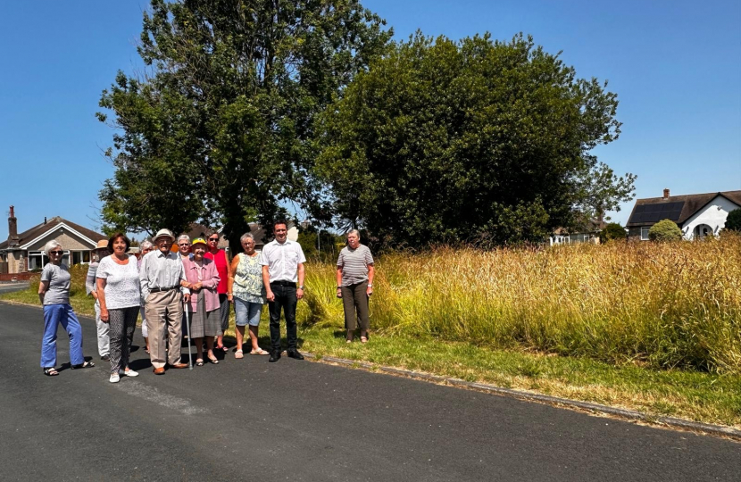 Rhuddlan residents up in arms after council stop cutting grass after 55 years  