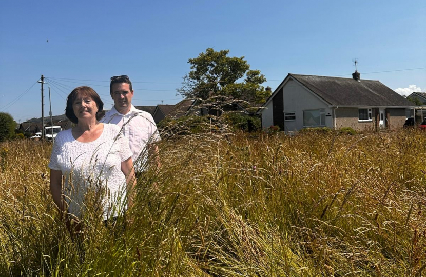 Rhuddlan residents up in arms after council stop cutting grass after 55 years  