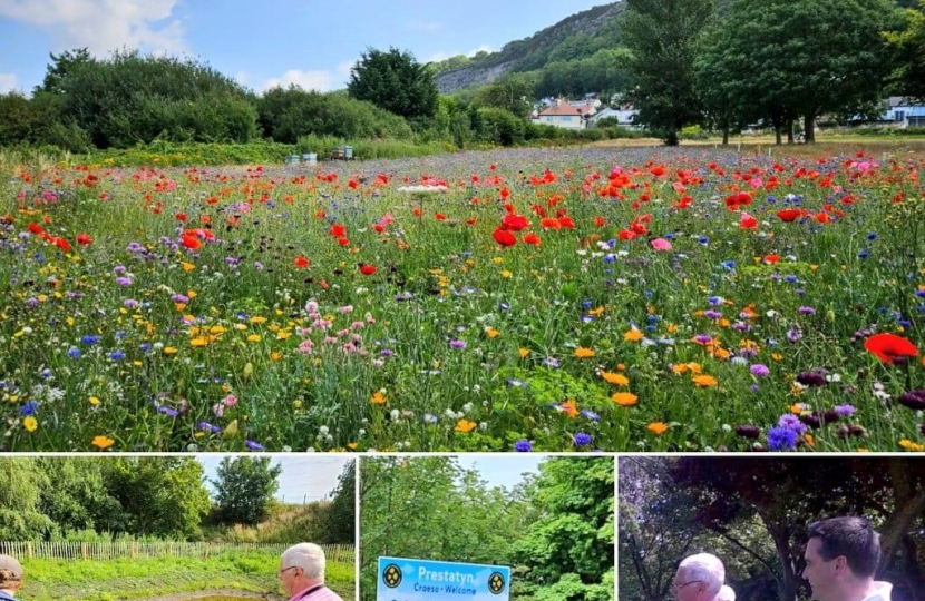 Wales in Bloom judge describes Prestatyn Town Centre as “very impressive”