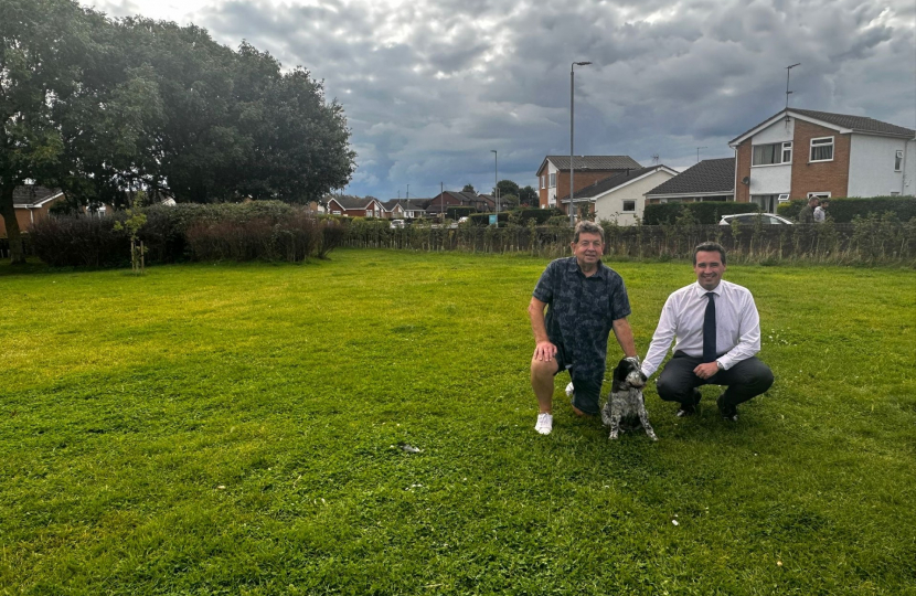 Council urged to rethink its ‘wildflower meadow’ approach