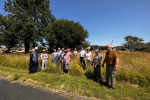 Rhuddlan residents up in arms after council stop cutting grass after 55 years  