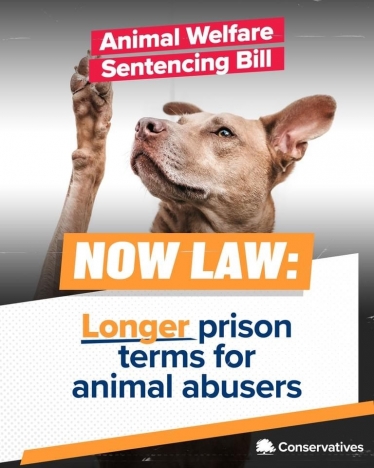 Animal abusers to face tougher sentences 